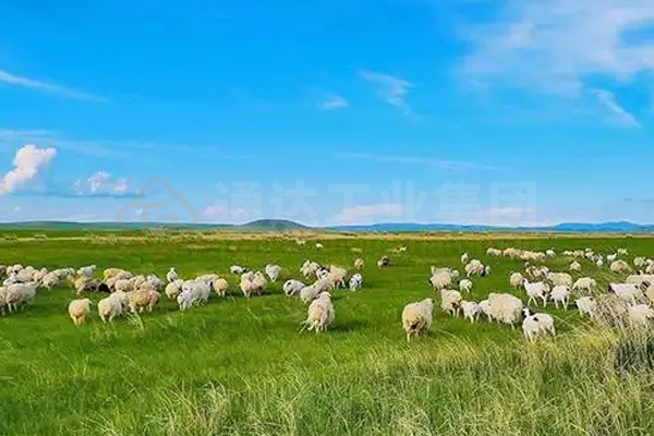 建有機肥廠解決了草原牛羊堆糞難題，牛羊糞如何進一步加工處理做成綠色有機肥料?